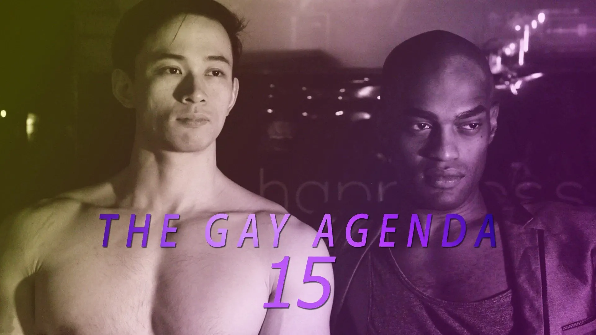 The Gay Agenda