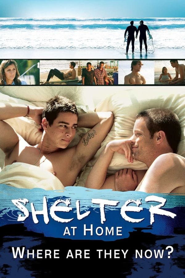 Shelter at Home: Where Are They Now?